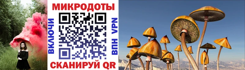 Купить где  Слободской  Псилоцибиновые грибы Magic Shrooms 